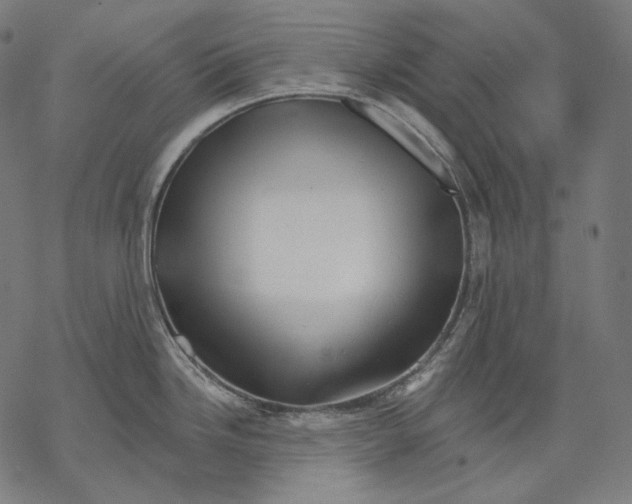 X0000068821246200605261543