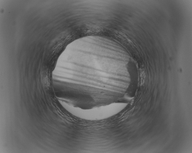 X0000068821250200605261542
