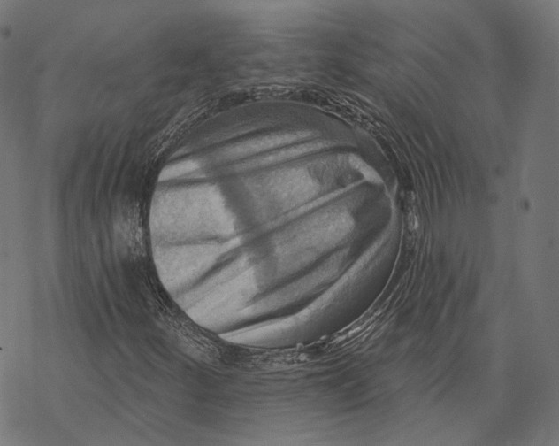 X0000068821252200605261542