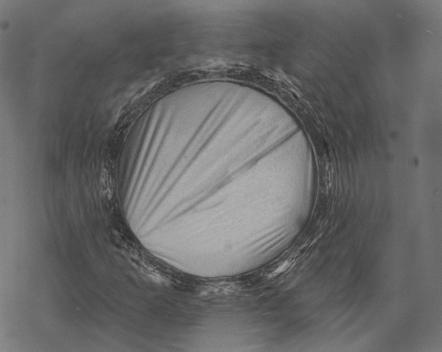 X0000068821253200605261542