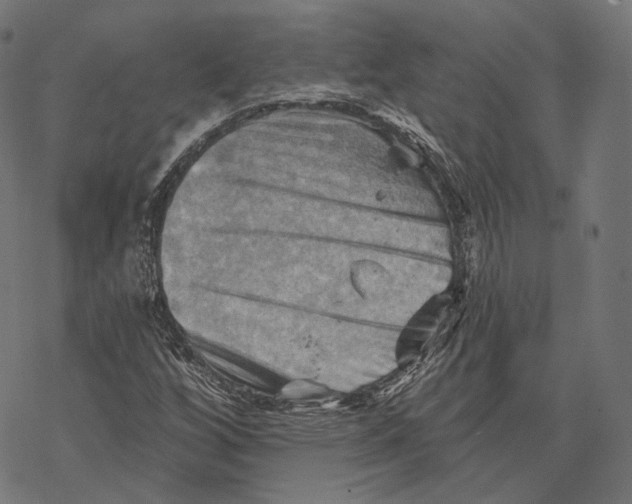 X0000068821256200605261542