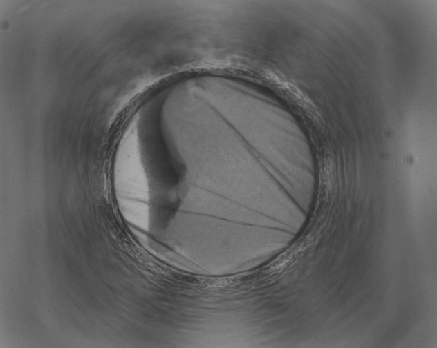 X0000068821262200605261542