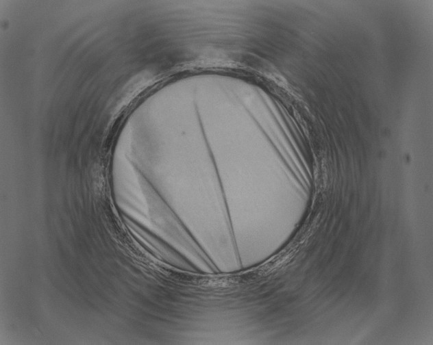 X0000068821266200605261542