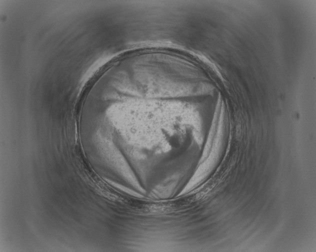X0000068821271200605261541