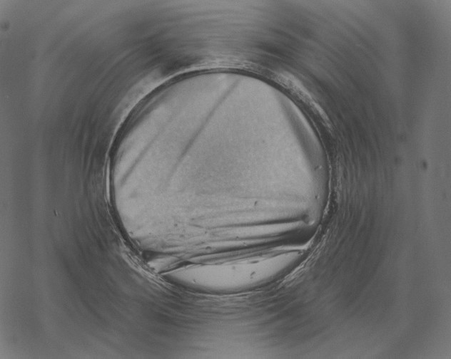 X0000068821276200605261541