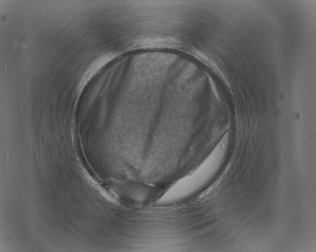 X0000068821277200605261541