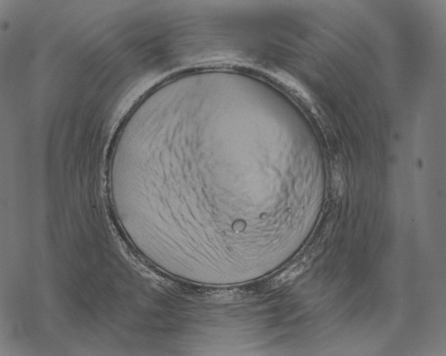 X0000068821279200605261541