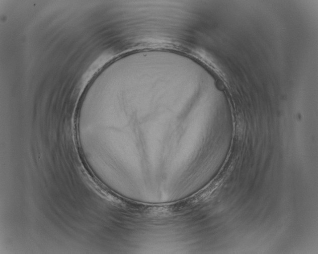 X0000068821283200605261541