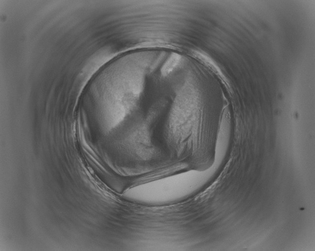 X0000068821284200605261541