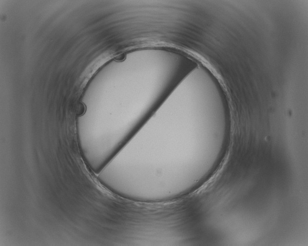 X0000068821289200605261541