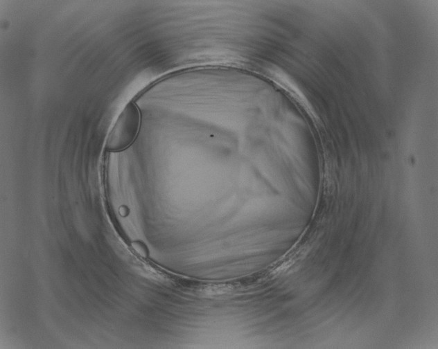 X0000068821291200605261541