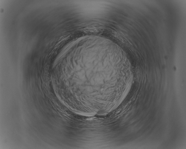 X0000068821297200605261540