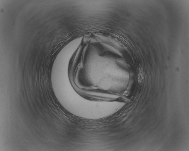 X0000068821298200605261540
