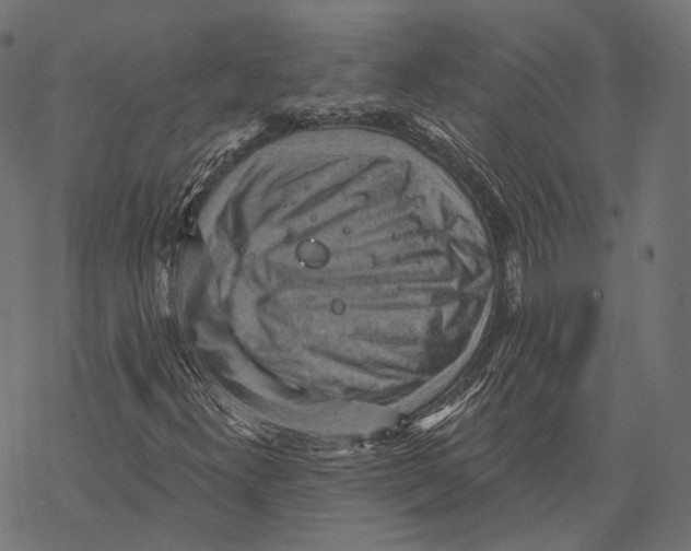 X0000068821300200605261540