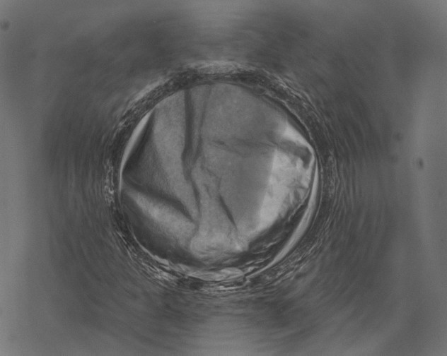 X0000068821301200605261540