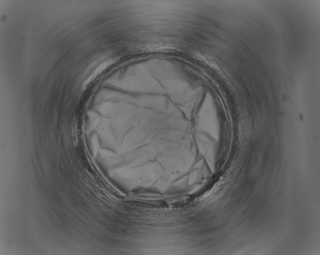X0000068821306200605261540