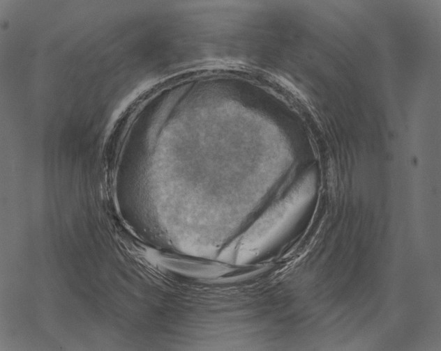 X0000068821310200605261540