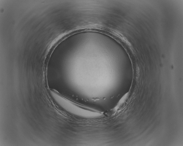 X0000068821316200605261541