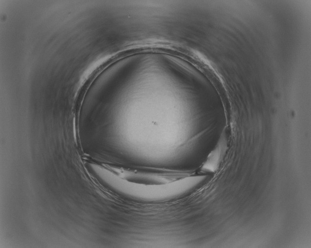 X0000068821320200605261541