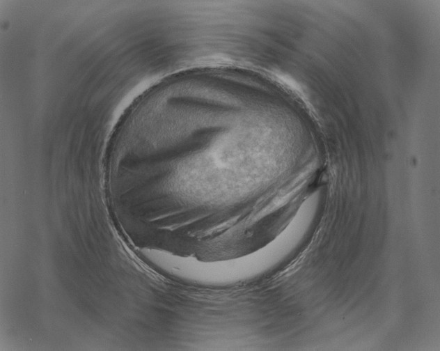 X0000068821326200605261541