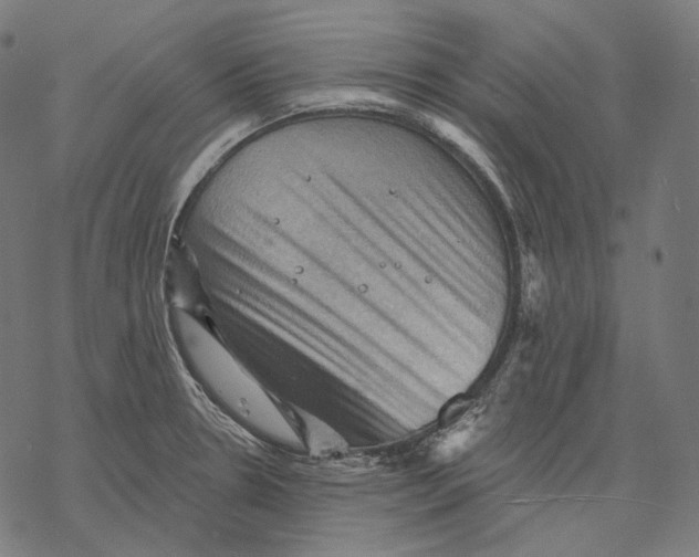 X0000068821330200605261541