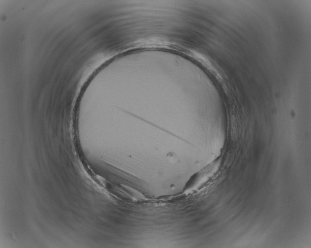 X0000068821331200605261541