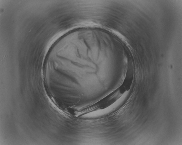 X0000068821335200605261541