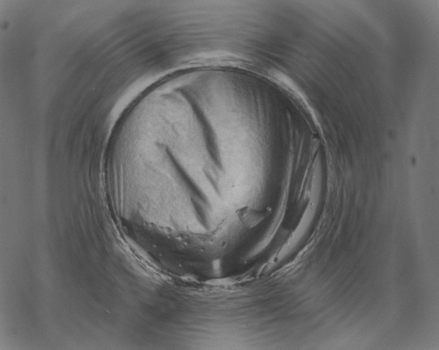 X0000068821336200605261541