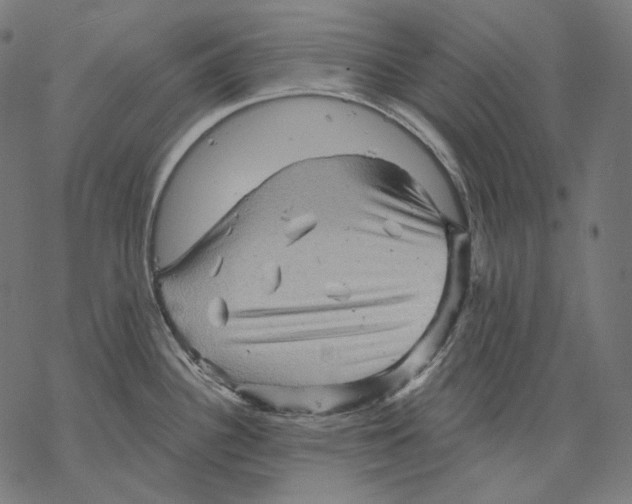 X0000068821340200605261541
