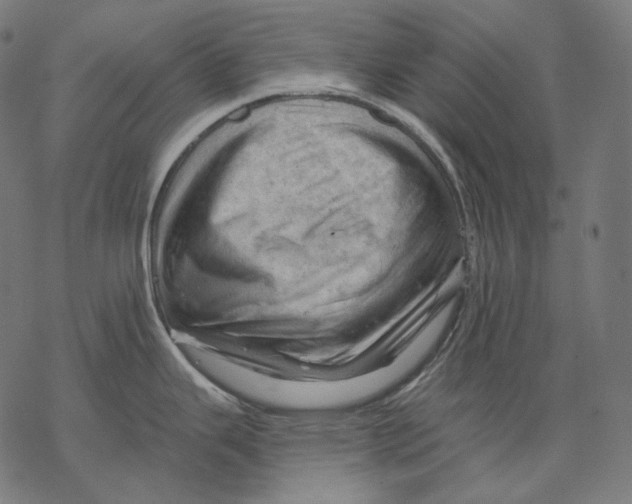 X0000068821343200605261541
