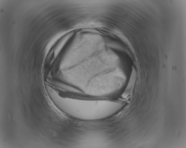 X0000068821344200605261541
