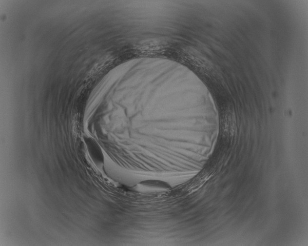 X0000068821346200605261540