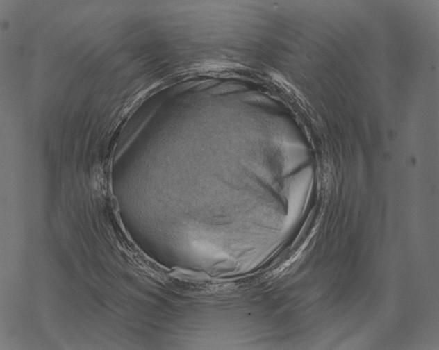 X0000068821353200605261540