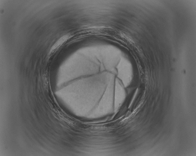 X0000068821354200605261540