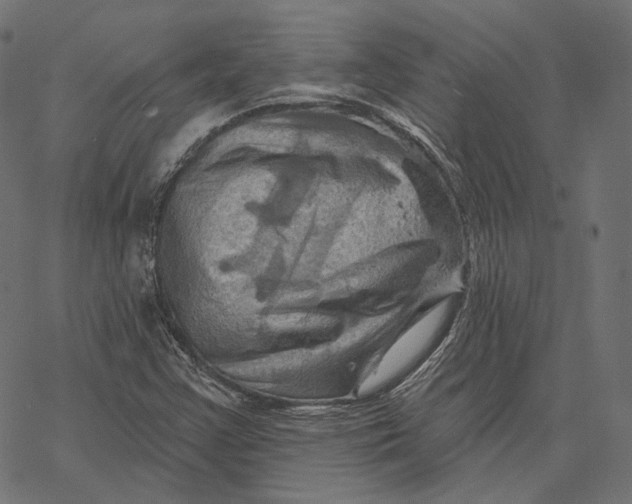 X0000068821355200605261540