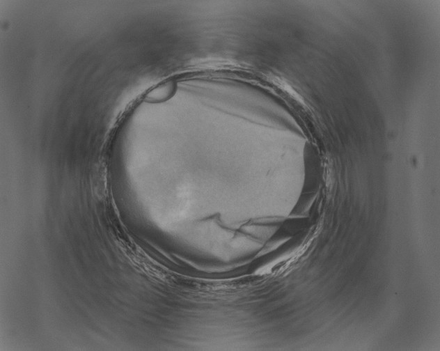 X0000068821358200605261540