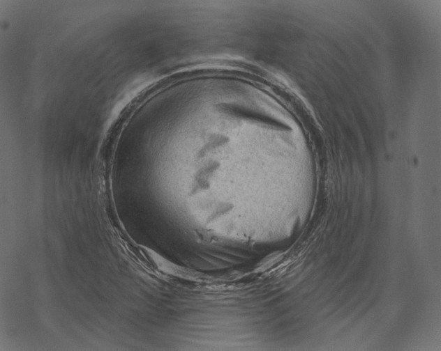 X0000068821360200605261540