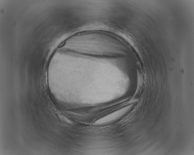 X0000068821366200605261540