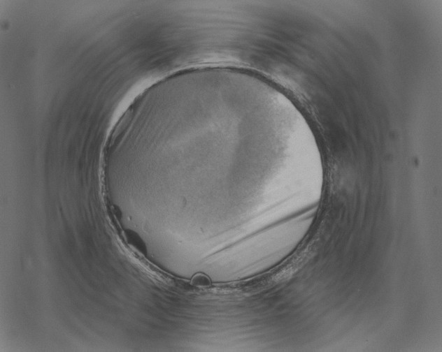 X0000068821374200605261540