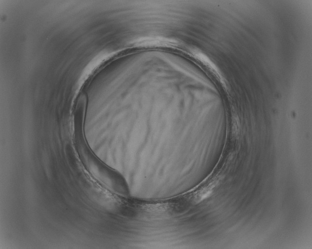 X0000068821376200605261540