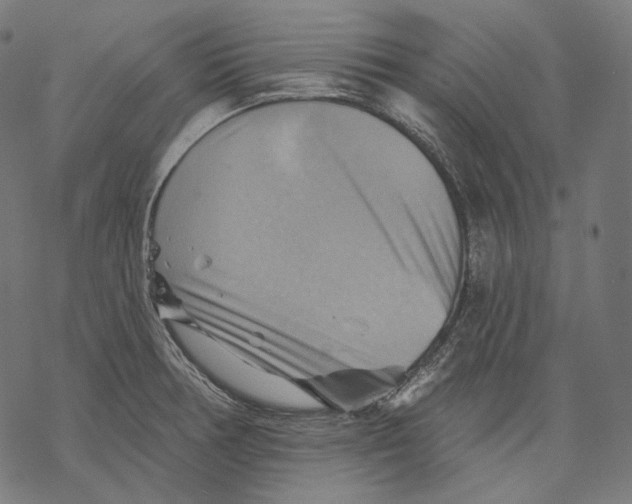 X0000068821378200605261540