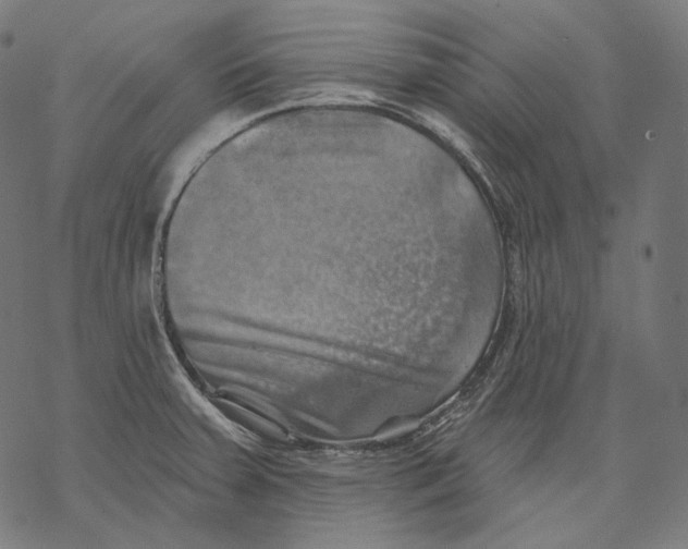 X0000068821379200605261540
