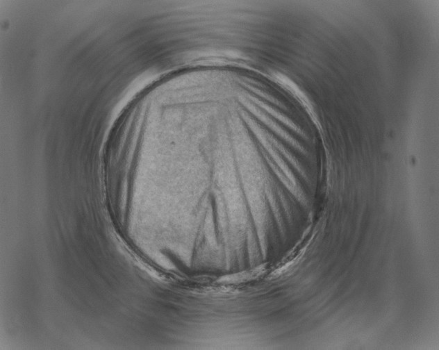 X0000068821384200605261540