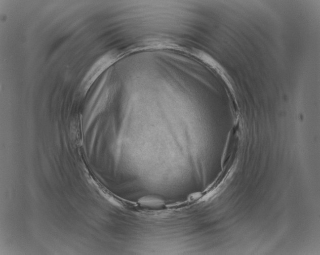 X0000068821385200605261540