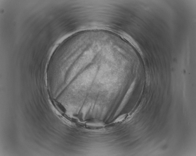 X0000068821388200605261540