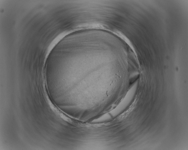 X0000068821389200605261540