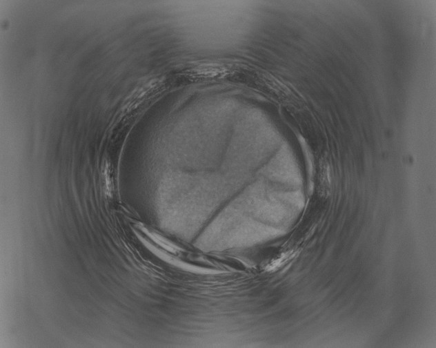 X0000068821394200605261539