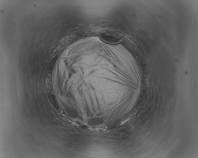 X0000068821397200605261539
