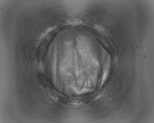 X0000068821398200605261539