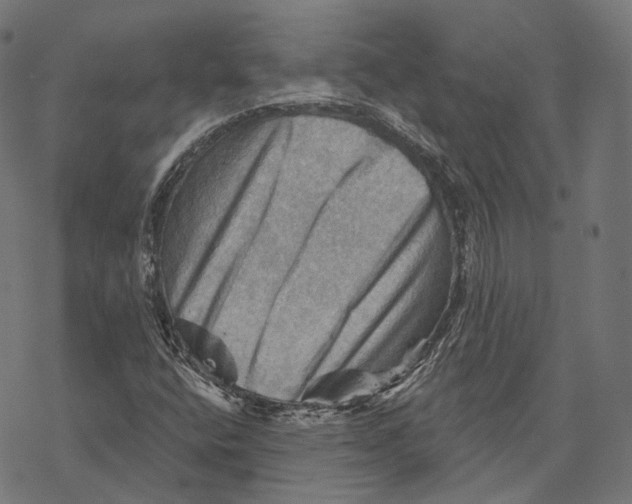 X0000068821400200605261539